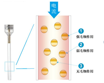 圖片4.jpg 圖片4.jpg